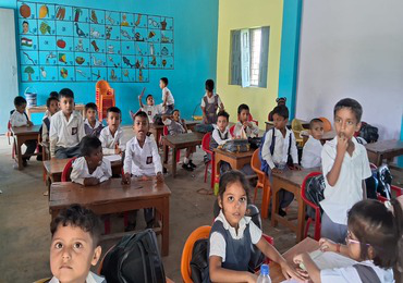 Primary Classes